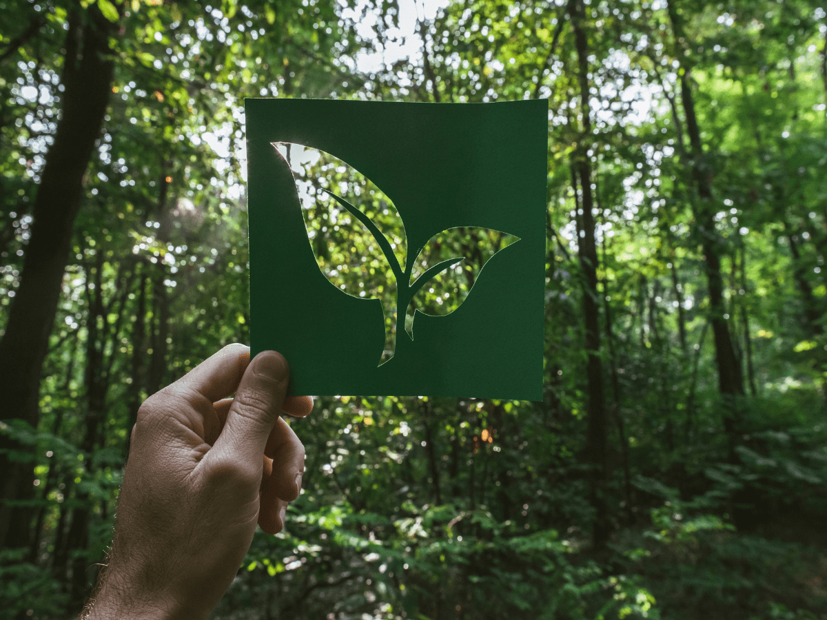 Greenliving a San Lazzaro